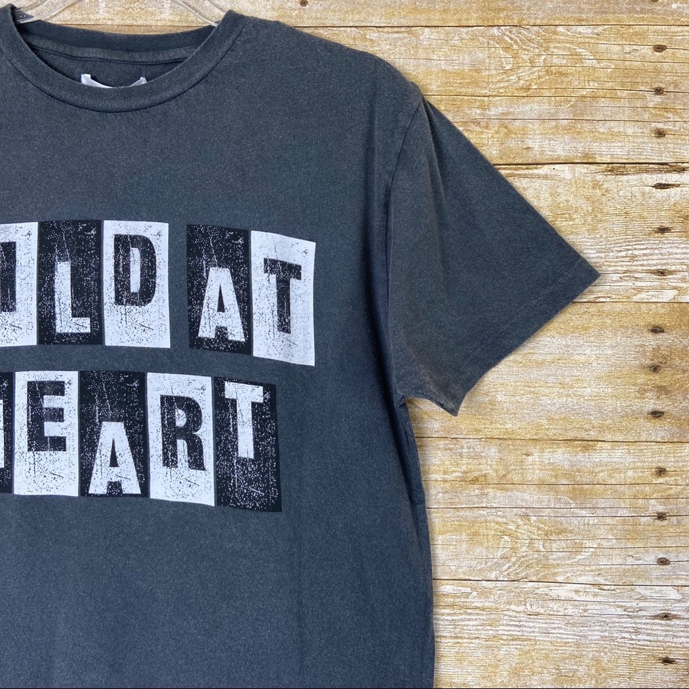 Anine Bing Vintage Wild At Heart Tee - Picture 6 of 11